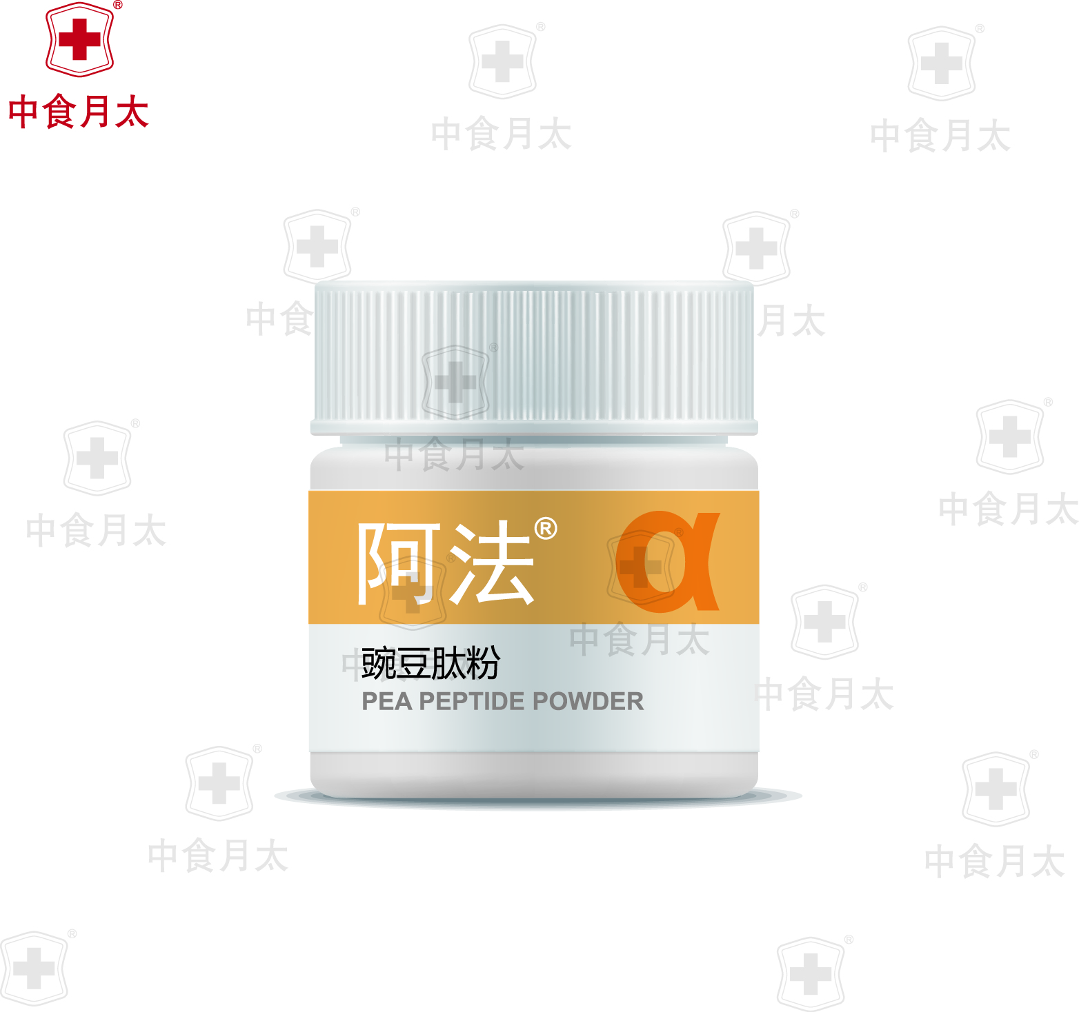 微信图片_20200309143958.jpg
